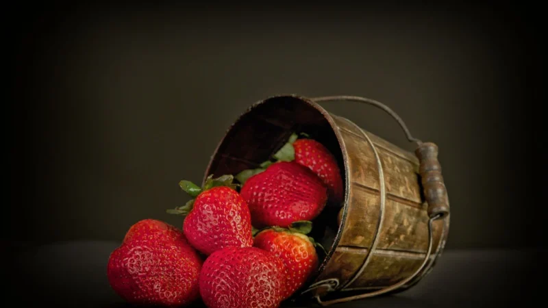 2 x Soda Oczyszczona Wiadro 5kg Vitafarm