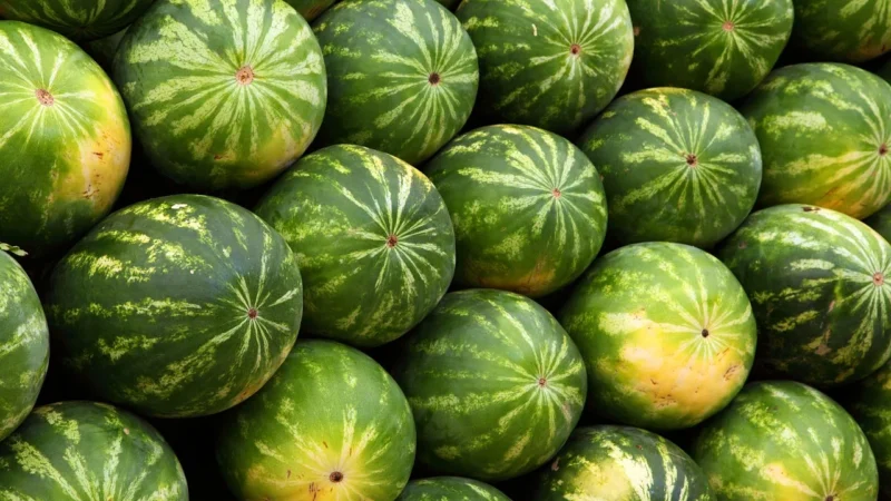 6 najpopularniejszych trendów spożywczych – od superfoods do zero waste