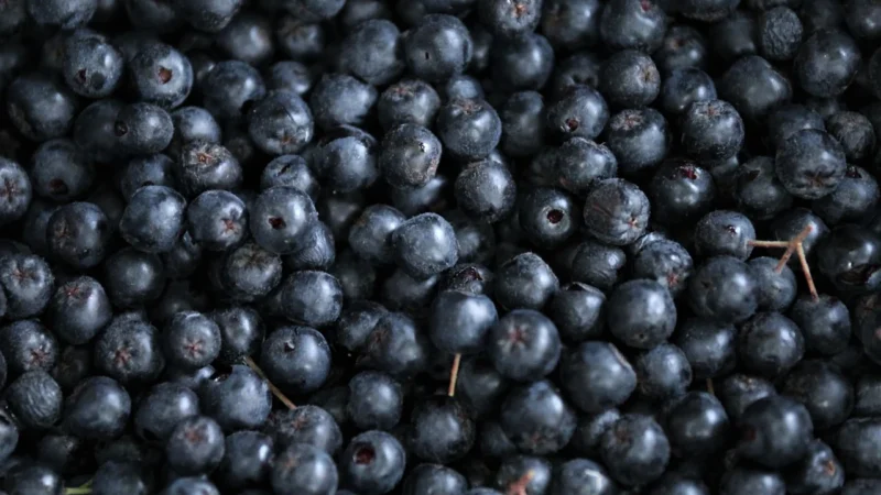 A To Dobre Syrop Aronia 330ml Dobre!