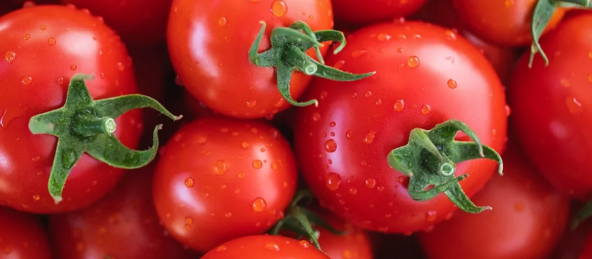 Alce Nero pomidory pelati bez skóry w puszce bio 400g