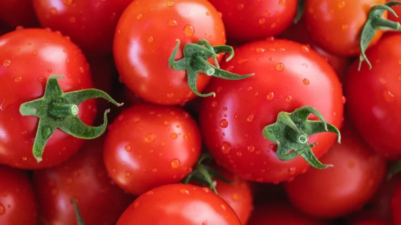 Alce Nero pomidory pelati bez skóry w puszce bio 400g