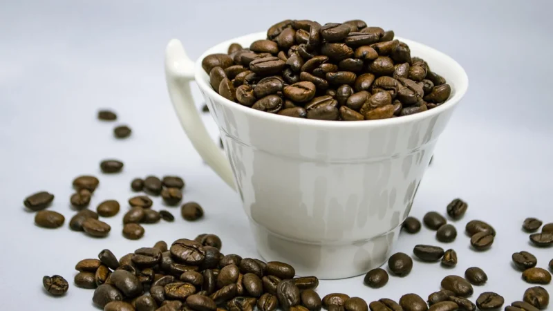 Ale’Eko CAFÉ Kawa Mielona Gwatemala BIO 250 g Coffee for Life