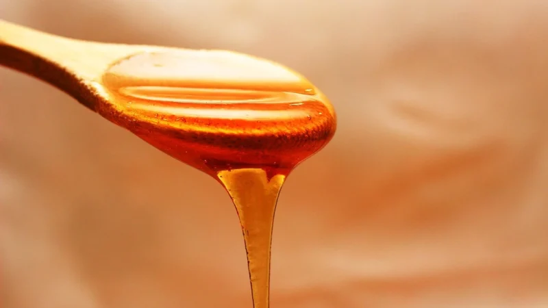 Aloe Forever Forever Bee Honey Naturalny miód pszczeli 500g