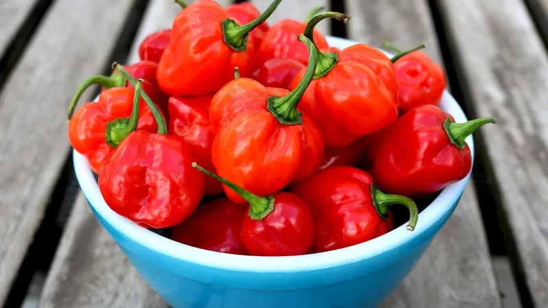 Aromatyczne Przyprawy Czubrica Czerwona 100G Bez Glutaminianu