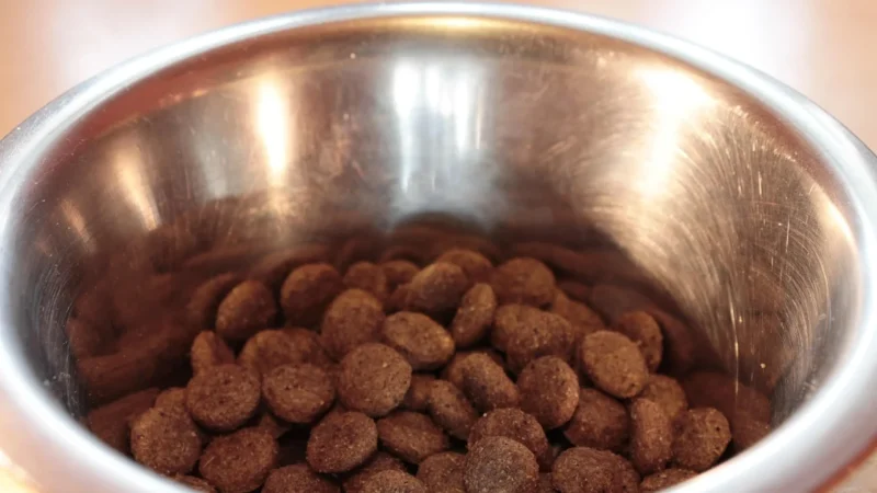 Aromatyczne Przyprawy Estragon Susz 10Kg Worek