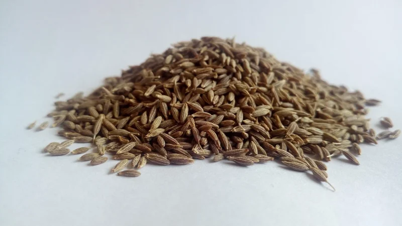 Aromatyczne Przyprawy Kminek Ziarno 25Kg Worek