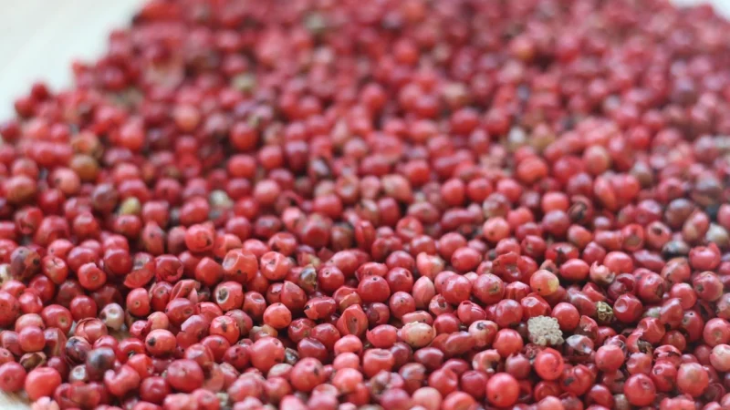 Aromatyczne Przyprawy Pieprz Ziołowy 25Kg Worek