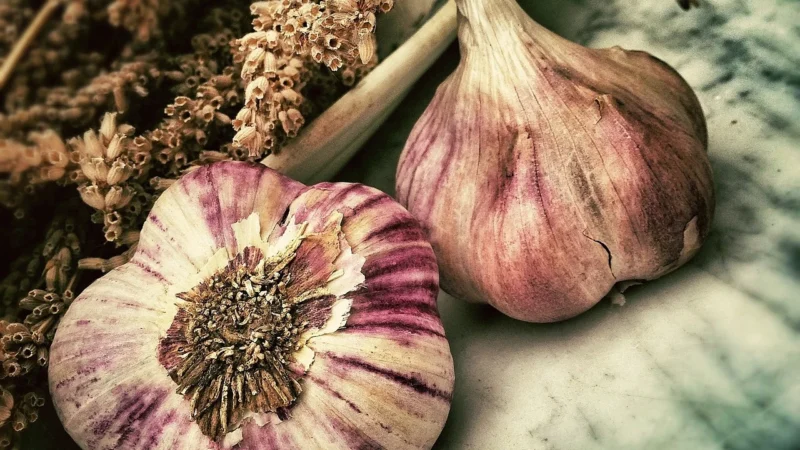 Aromatyczne Przyprawy Przyprawa Do Kiełbasy Chłopskiej Bez Glutaminianu 1Kg