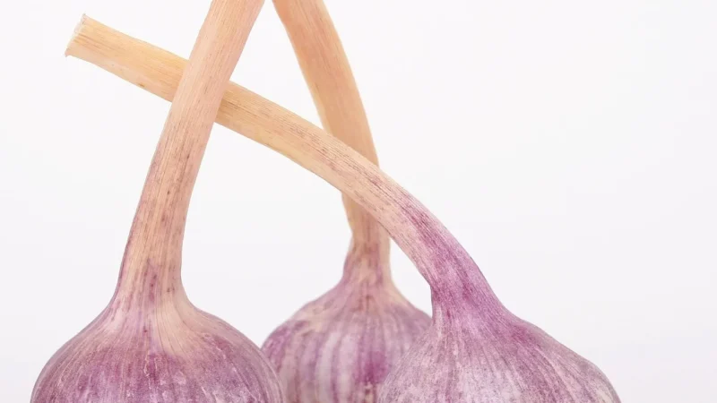 Aromatyczne Przyprawy Przyprawa Do Kiełbasy Szynkowej 1Kg