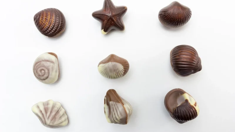 Barry Callebaut Czekolada Biała 25Kg