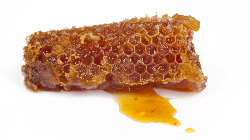 Bartnik Sądecki Propolis Surowiec 50g