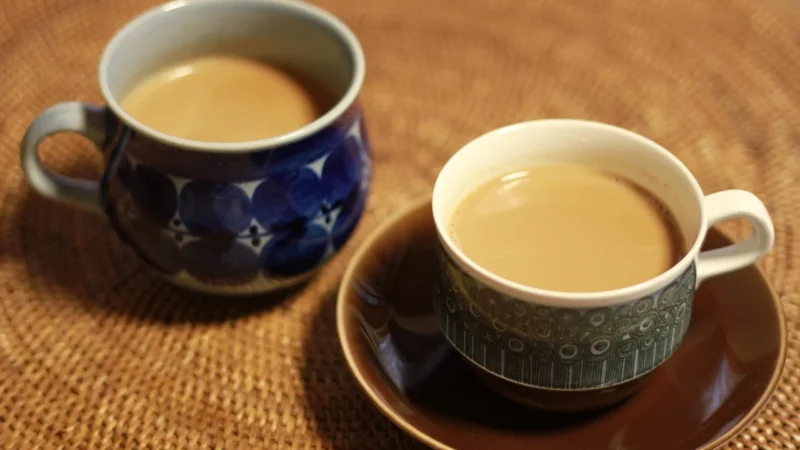 BASILUR Herbata Oriental Collection Masala Chai 25 x 2g w saszetkach