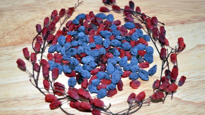 Berberys owoc suszony 250g NATURA WITA