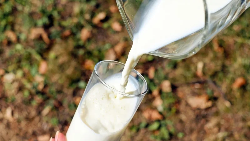 Berchtesgadener Land Mleko Uht Min. 1,5 % Tłuszczu Bio 1l