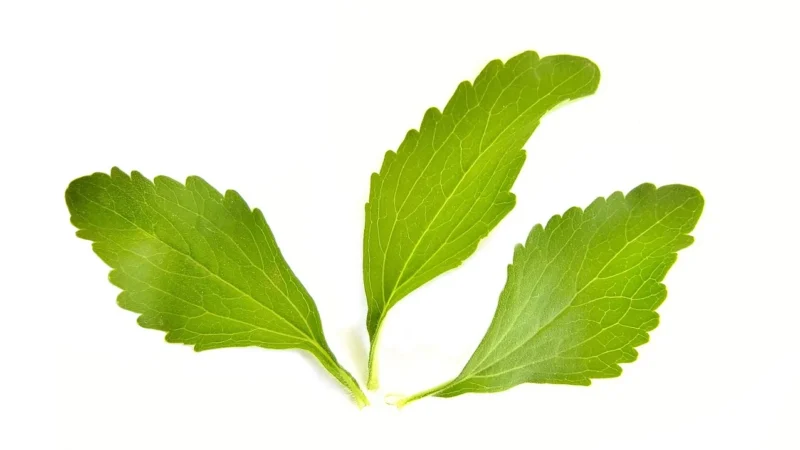 Better Stevia 75 saszetek
