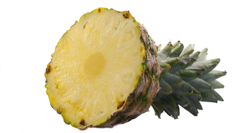 Biała słodycz (Torba 1kg, Pakowanie standardowe)