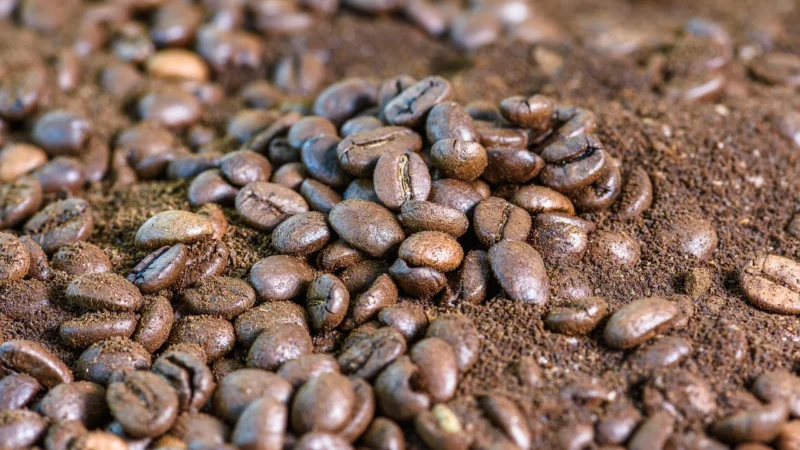Bialetti Seduttore- Kawa Mielona 250g Puszka
