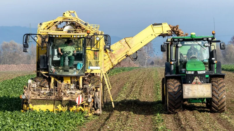 Bio Food Sok Tłoczony Z Buraka Kiszonego 1l –