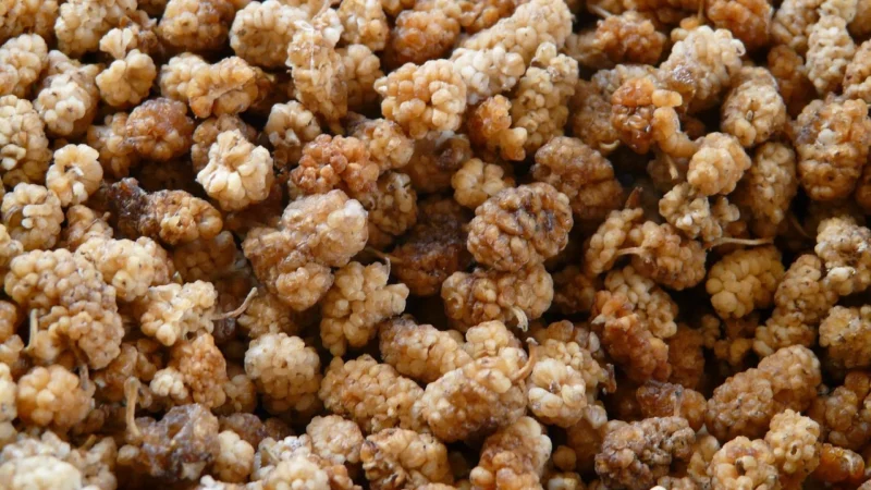 Bio Planet Morwa Biała Suszona 1Kg