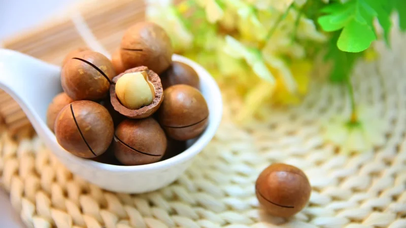 Bio Planet Orzechy Macadamia Bio 200 G