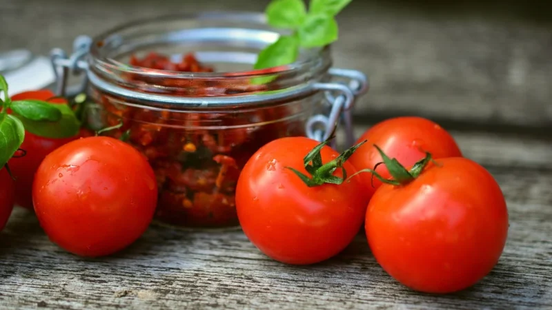 Bio Verde Pomidory Suszone Na Słońcu W Oleju 4,75Kg Słoik