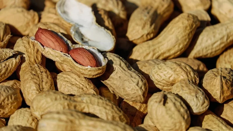 Biolife Orzeszki Ziemne Prażone Eko 150G