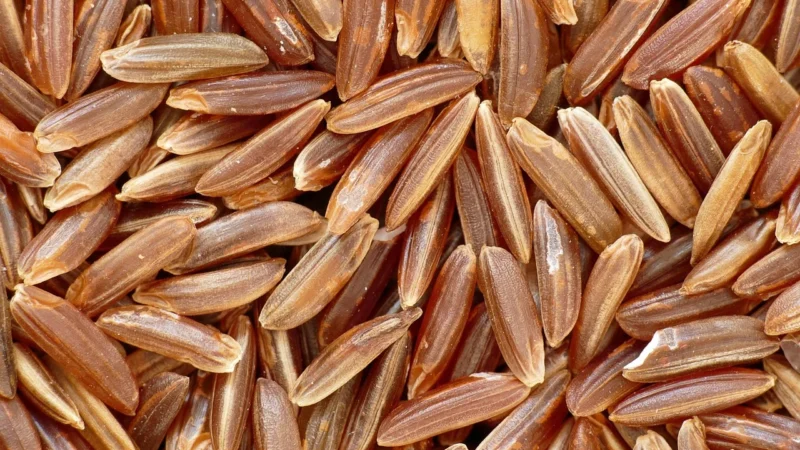 Biolife Ryż Długoziarnisty Biały Zestaw 1Kg Bio