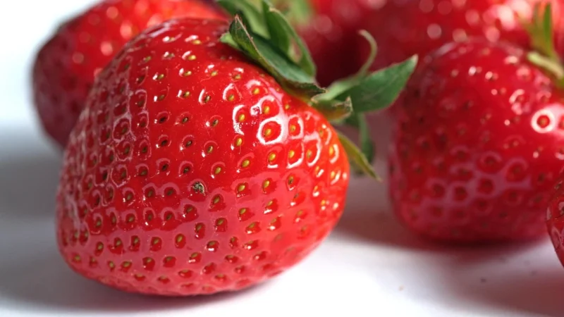 Biotoday Bio Miód Wegański 230g