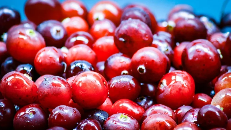 Blend Tea – Cranberry – Herbata sypana – Puszka 100g
