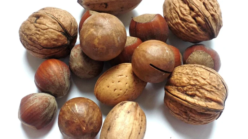 Brat Orzechy Brazylijskie 200g Połówki Kawałki