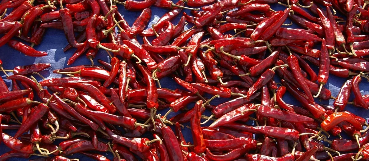 Chili chipotle (wedzone jalapeno czerwone ) 1kg