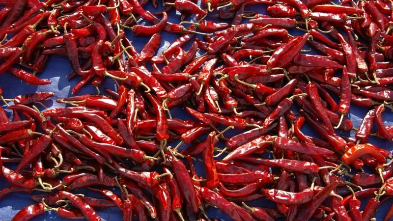 Chili chipotle (wedzone jalapeno czerwone ) 1kg