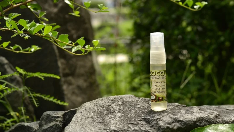 Cocofarm Kokosowy Organic Virgin Horeca (5903111899851)