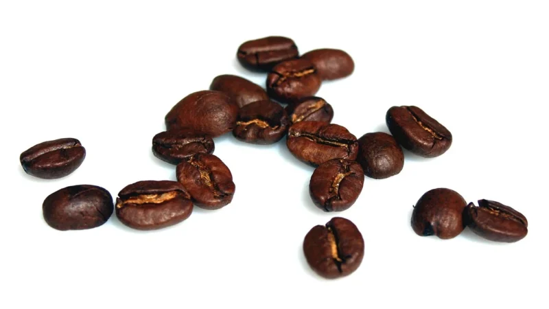 Coffee Plant Kawa Ziarnita Smooth Sweet Espresso 250g