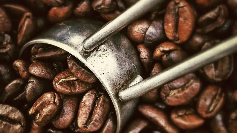 COFFEE PLANT Kolumbia Finca El Silencio Kawa ziarnista 1kg