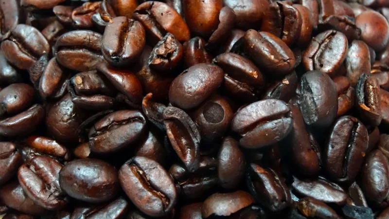 Coffeelab Kawa Ziarnista Coffee Lab Etiopia Sidamo Sagara 250g