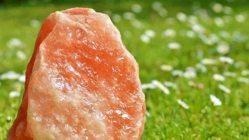 Cosmoveda Ajurweda sól kamienna – 100g