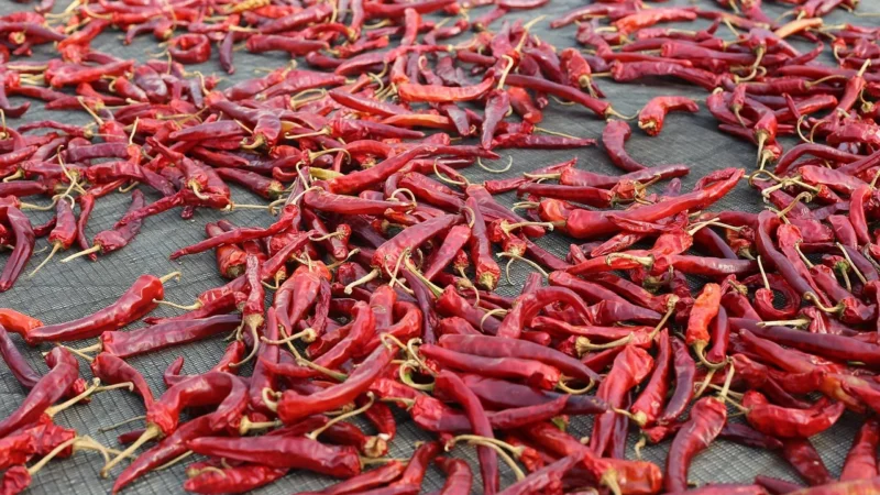 Cosmoveda BIO chilli w całości – 7,5g