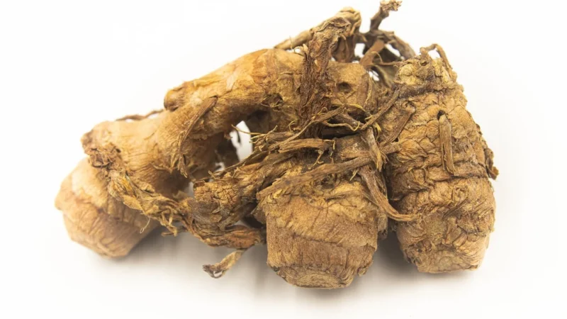 Cosmoveda BIO kurkuma – 90g
