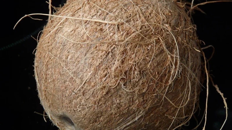 Cosmoveda Cosmoveda Płatki kokosowe BIO 200g