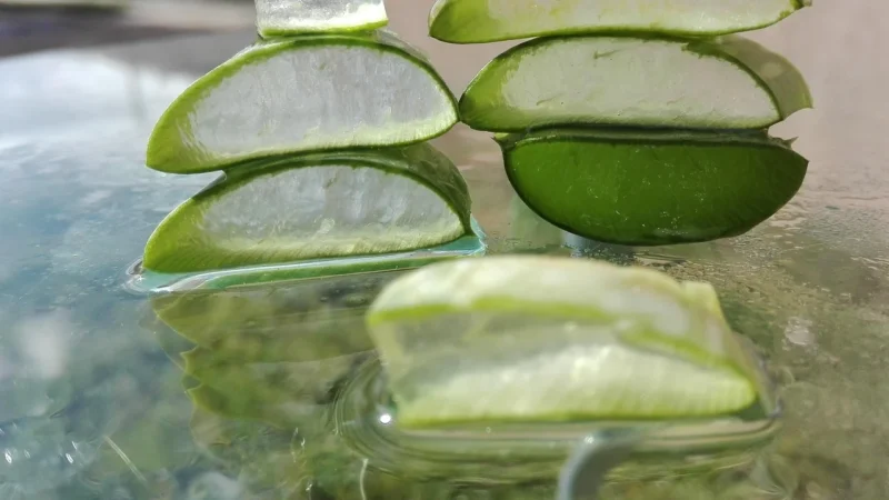 Cosmoveda Krem Na Dzień Hydro Balance Aloe Vera 50ml