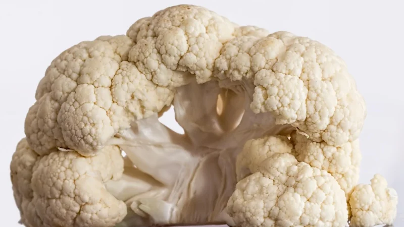 Cosmoveda Łuska babki płesznik bio – 500g
