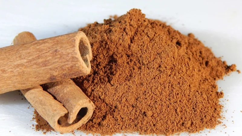Cosmoveda Organiczny Mielony Cynamon Kasja – 500g