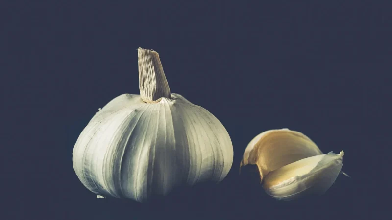 Cosmoveda Posiekany majeranek BIO – 20g