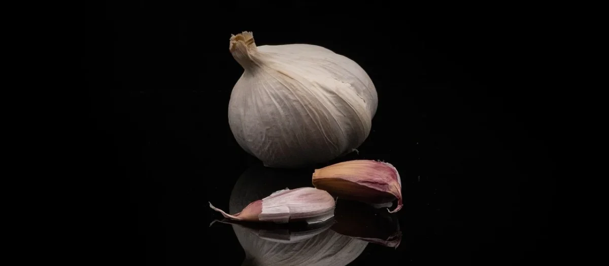 Czarny czosnek black garlic Pięć przemian 80g