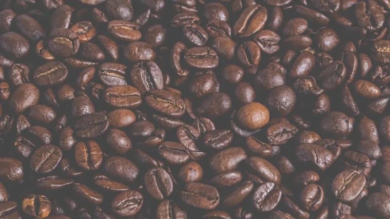 Dallmayr Barista Crema Forte 1kg