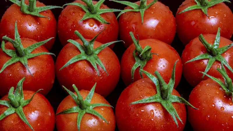 Dary Natury Ketchup Bio 300G