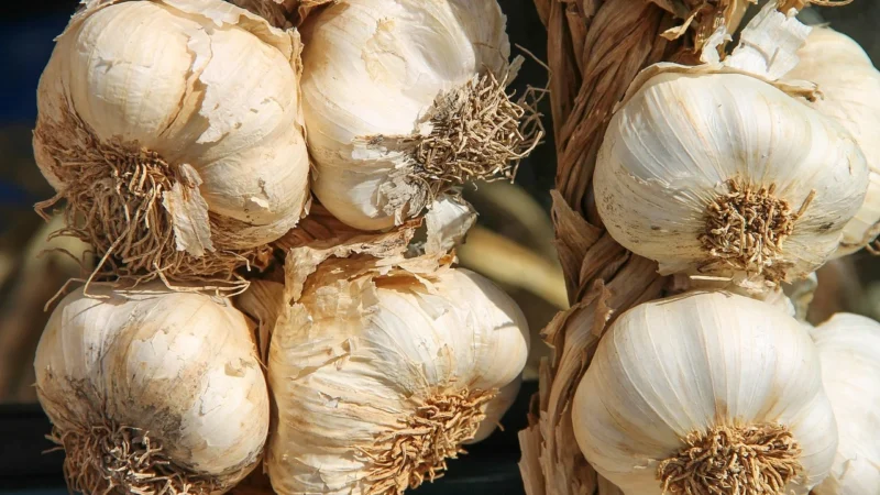 Delibakalie Majeranek Extra 250G