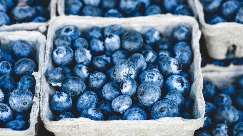 Delikatesy Vitafarm – najtańsze oferty