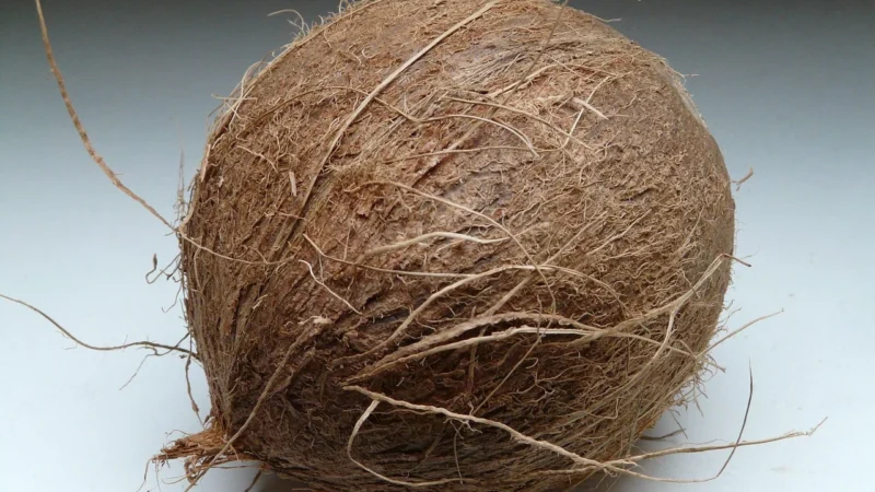 Dnuts Dnuts Kostki Kokosowe 1kg
